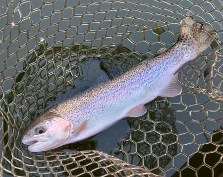 スタートダッシュは決めたが...大安トラウ…